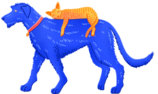 dog-cat